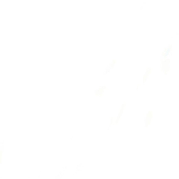 Meet your Posher, Brenda - Picture 1 of 1